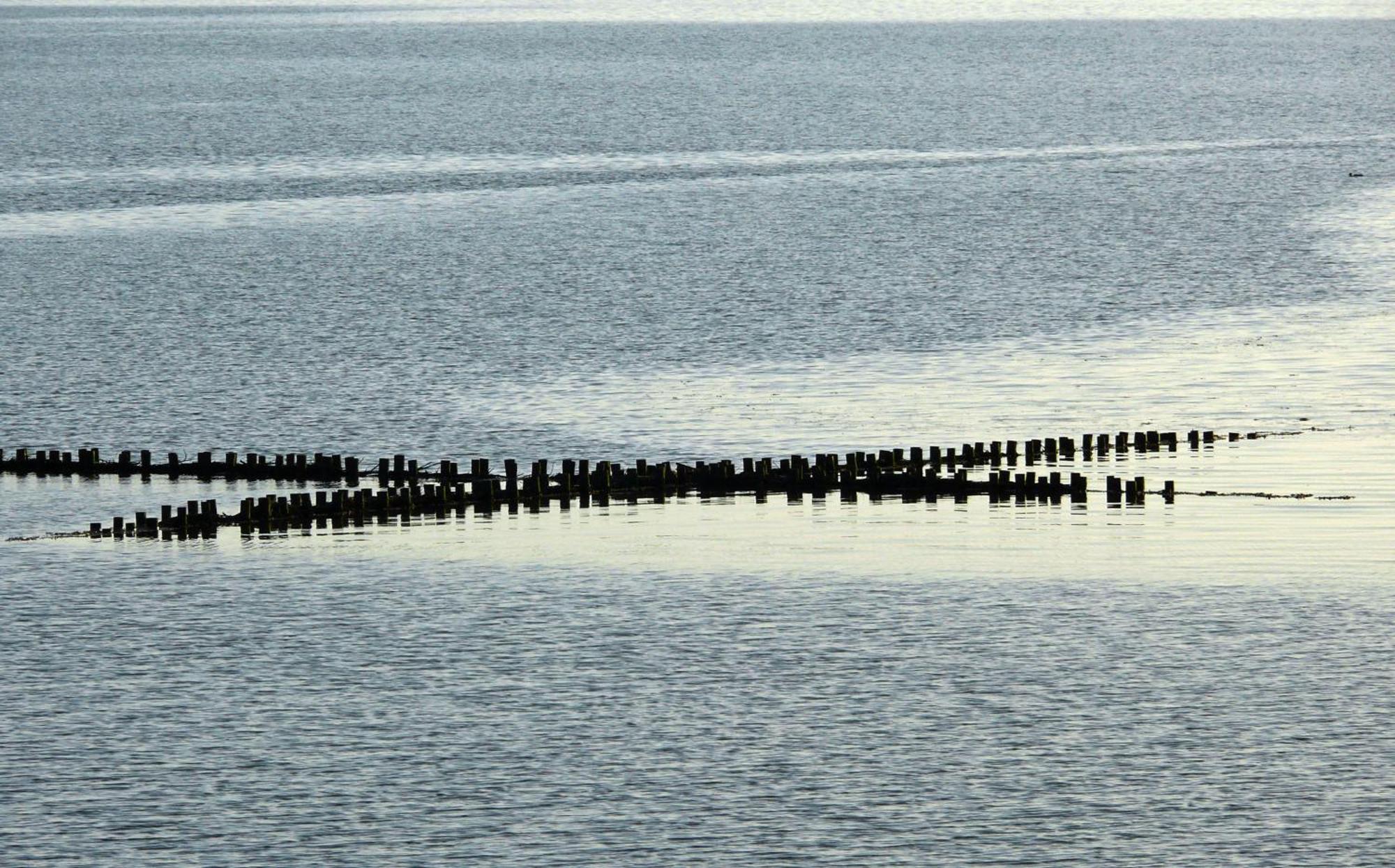 Haus Halligblick, Ferienwohnungen Am Wattenmeer, Whg Langenness Dagebüll Extérieur photo