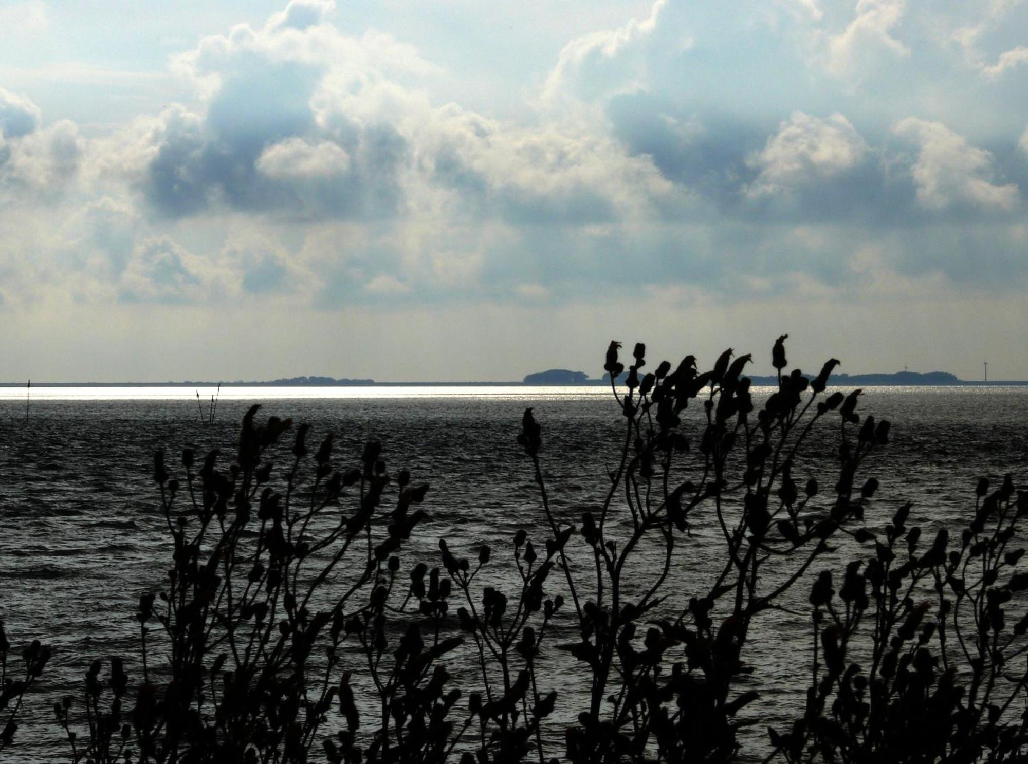 Haus Halligblick, Ferienwohnungen Am Wattenmeer, Whg Langenness Dagebüll Extérieur photo